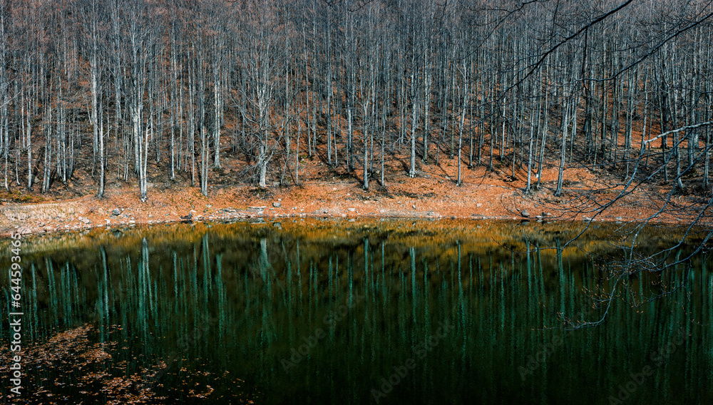 Scenic view of lake by trees against sky, Lago Scuro, Ventasso Scenic view of lake by trees against sky, Lago Scuro, Ventasso