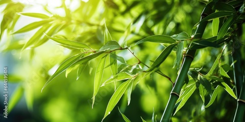 Bamboo plant background. Generative AI © piai
