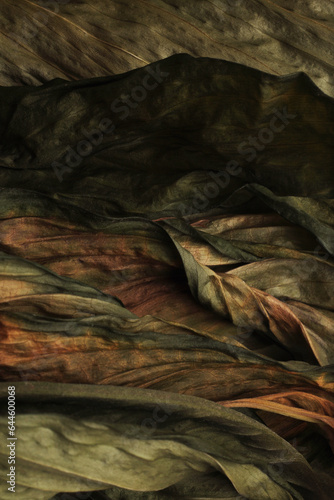 Dry withered autumn leaf. Light and shadow nature texture grunge background.