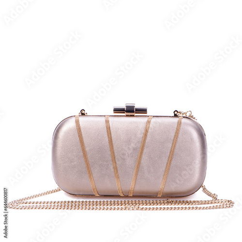 Elegant romantic metallic leather long chain clutch bag for women, decorated with smaller golden metal chains. Luxury female accessories. Red carpet fashion. Retail, e-commerce store, boutique.