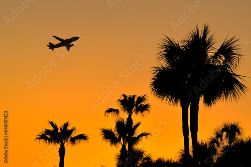 Tropical palm trees silhouetted against a deep orange sky at sunset with a holiday jet flying over. No people. Copy space. Travel and holidays concept © Cerib