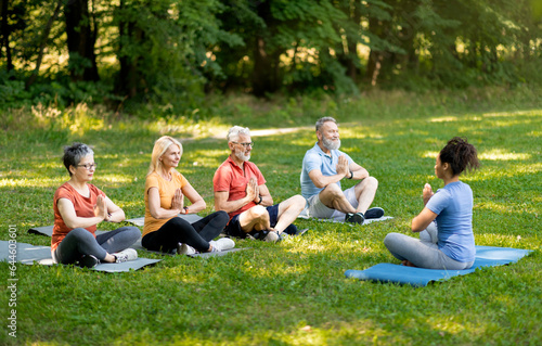 Fototapeta Naklejka Na Ścianę i Meble -  Group Of Active Senior People Practicing Yoga With Instructor Outdoors