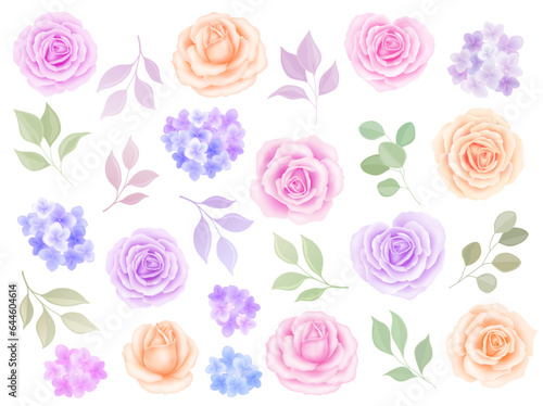 Set vintage elements of roses, collection garden flowers, leaves, Vector illustration eucalyptus, herbs. bud and leaf