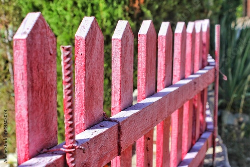 Pink wooden fence goes into the distance against the background of bushes 