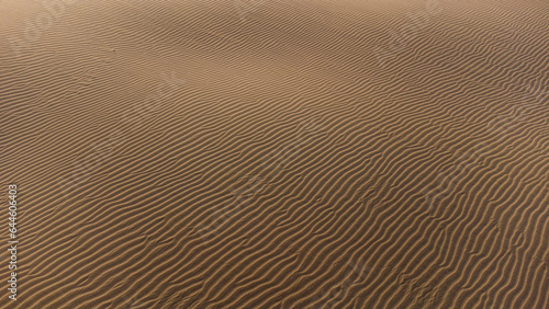 Textura sobre la arena del desierto photo