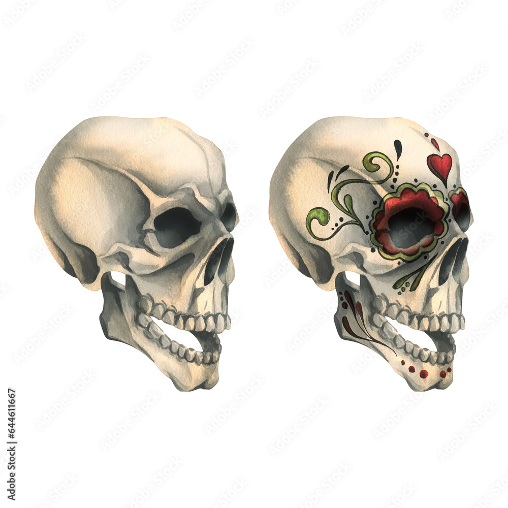 Human skulls profile with a painted ornament is evil, terrible. Hand drawn watercolor illustration for day of the dead, halloween, Dia de los muertos. Set of isolated objects on a white background. Human skulls profile with a painted ornament is evil, terrible. Hand drawn watercolor illustration for day of the dead, halloween, Dia de los muertos. Set of isolated objects on a white background.