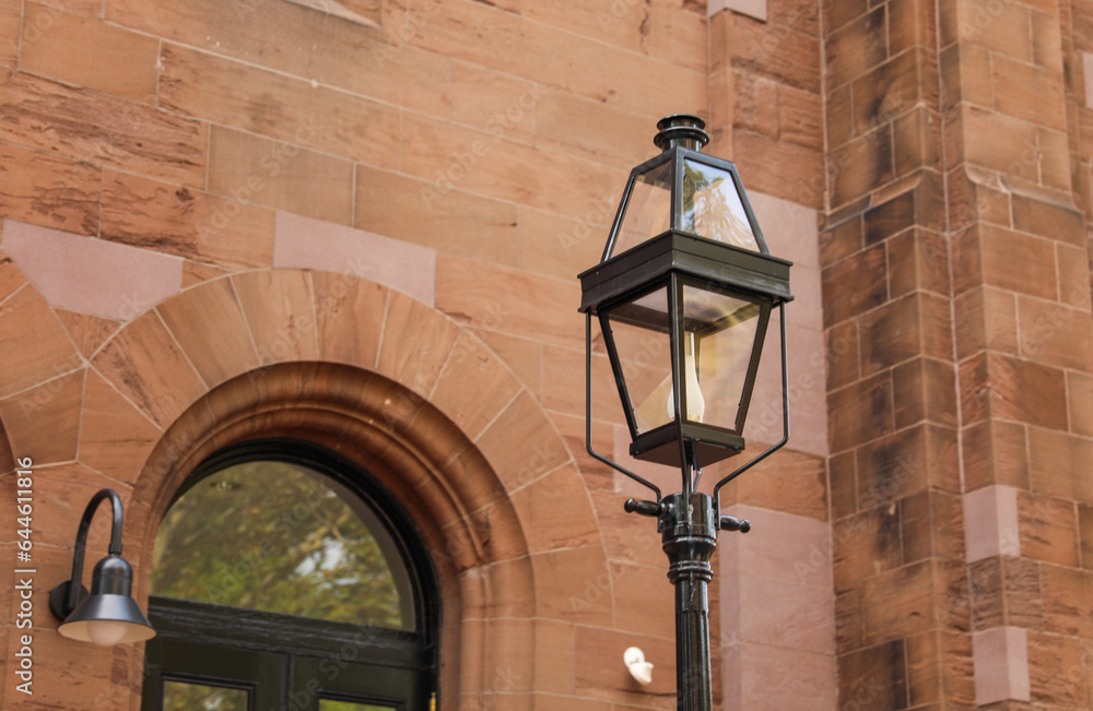street lamp, a beacon in the city's night, symbolizes both historic charm and modern urban allure, casting a warm glow on our urban journey