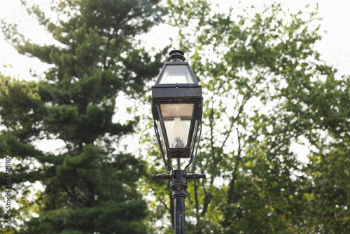 street lamp, a beacon in the city's night, symbolizes both historic charm and modern urban allure, casting a warm glow on our urban journey