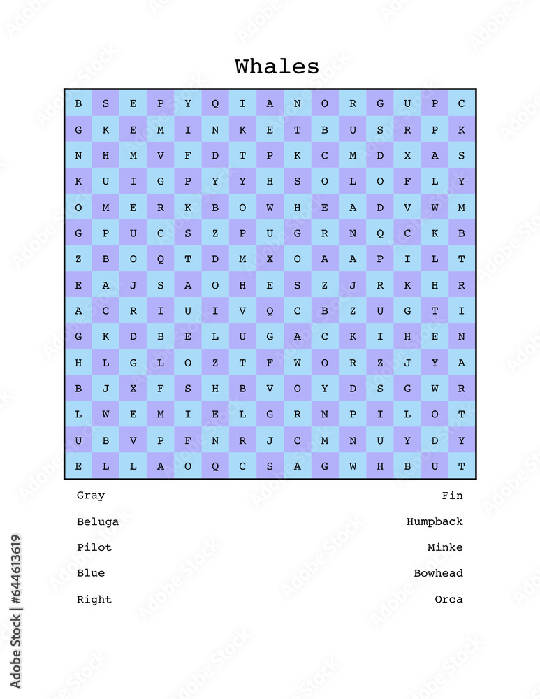 Fototapeta premium Types of whales word search
