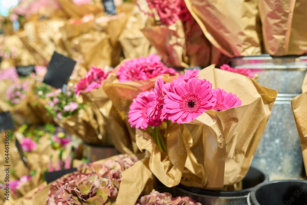 Flower shop, close-up of fresh flowers in buckets, pink gerberas