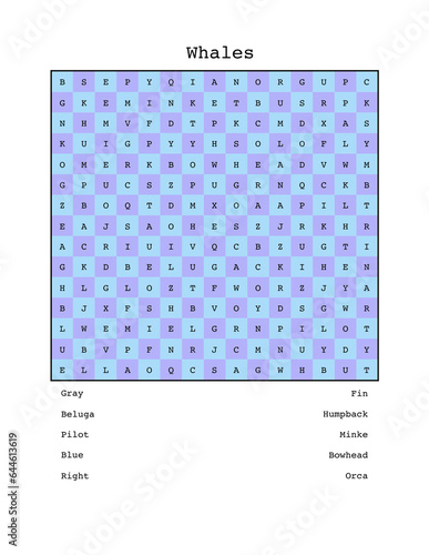 Types of whales word search