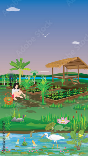  agriculturist harvest vegetable in garden vector design
