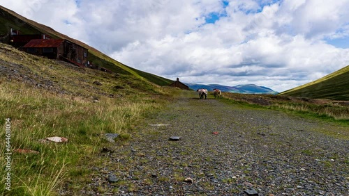 A timelapse of a cloudy summers day at Force Grag in the English Lake District. photo