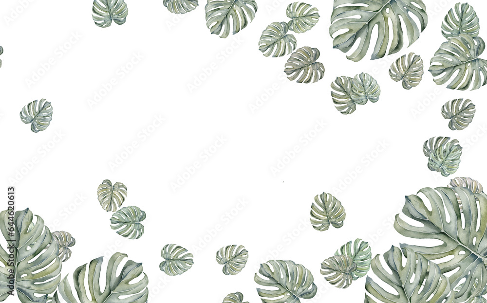 Tropical banner arranged from exotic monstera leaves. Paradise plants, greenery and palm card. Stylish fashion frame. Sunset light. Wedding design. Isolated and editable. background for banner, prints