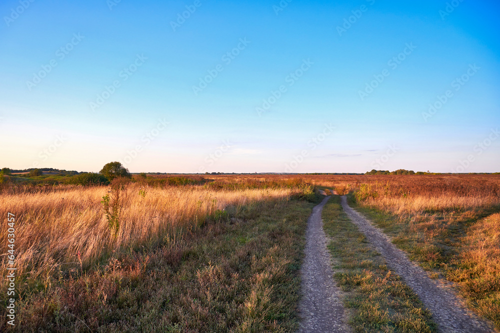 Dirt road through the field at sunset