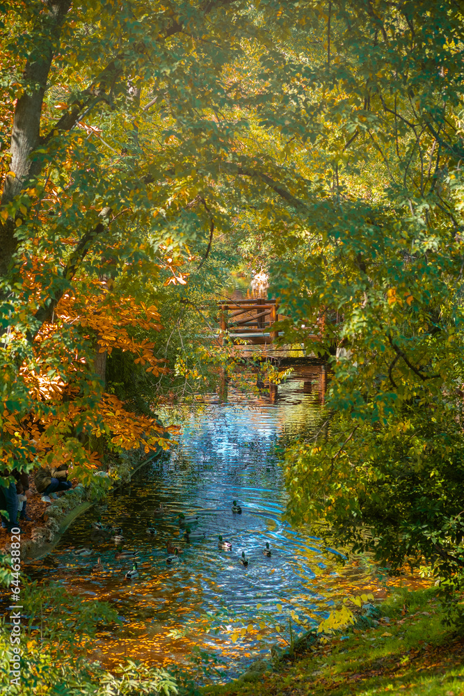 Beautiful autumn scenery in the Retiro Park in Madrid, Spain. Beautiful autumn scenery in the Retiro Park in Madrid, Spain.
