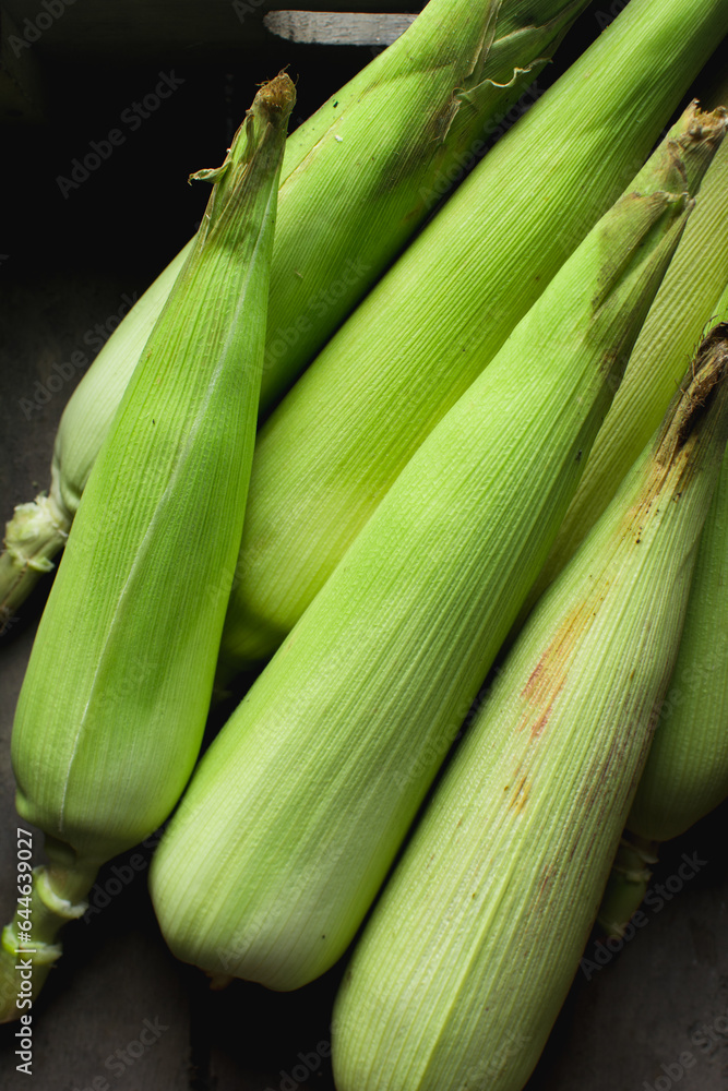 unpeeled cobs of corn in a brown wood box, whole corn in green husk on a countertop, fresh organic sweet corn on table unpeeled cobs of corn in a brown wood box, whole corn in green husk on a countertop, fresh organic sweet corn on table