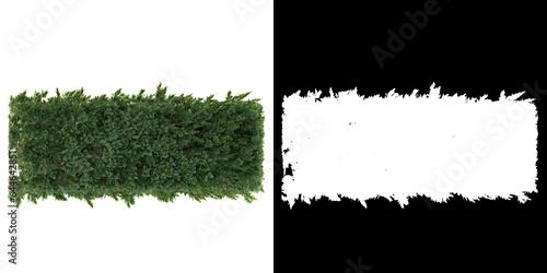 3D rendering illustration of a portion of a garden hedge