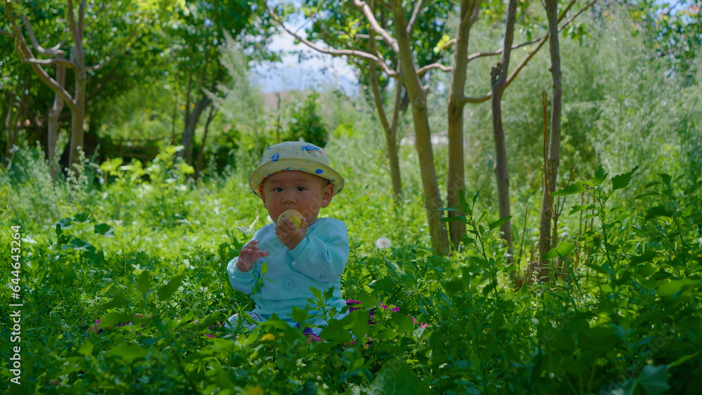 Cute baby sitting on a grass holding an apple in his hands