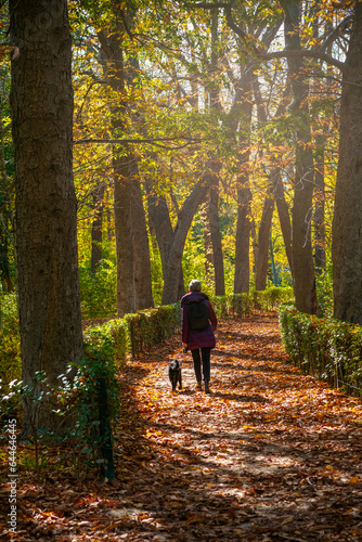 Middle-aged woman walks her dog among the autumn scenery at Retiro Park in Madrid, Spain.