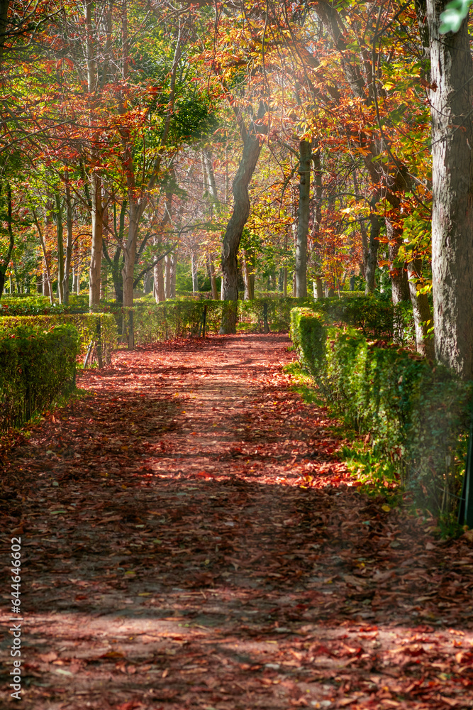 Autumn landscape in Retiro park in Madrid, Spain.