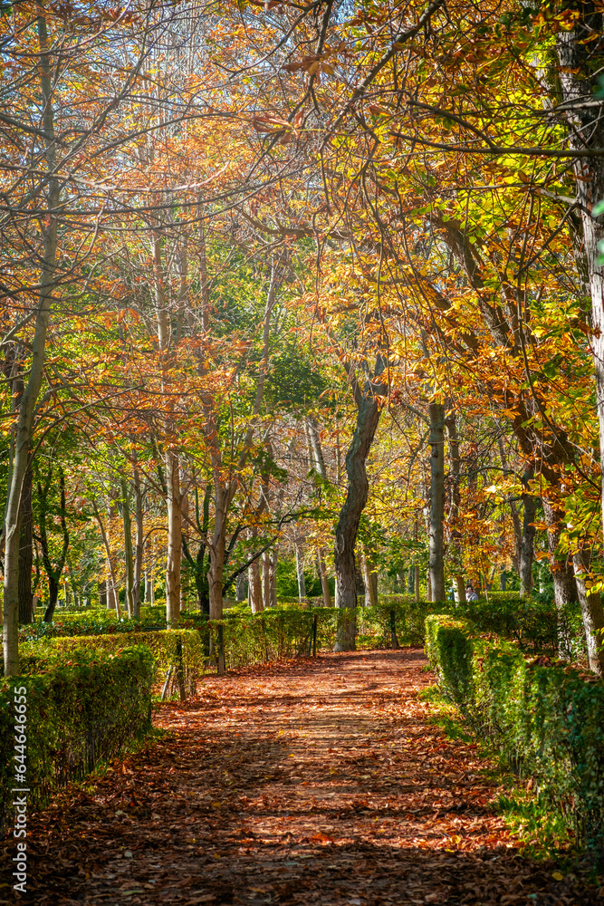 Autumn landscape in Retiro park in Madrid, Spain.
