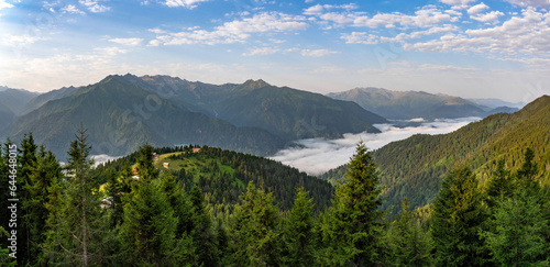 Sal and Pokut plateaus in Rize, Turkey. Landscape with pine forest and mountains.
