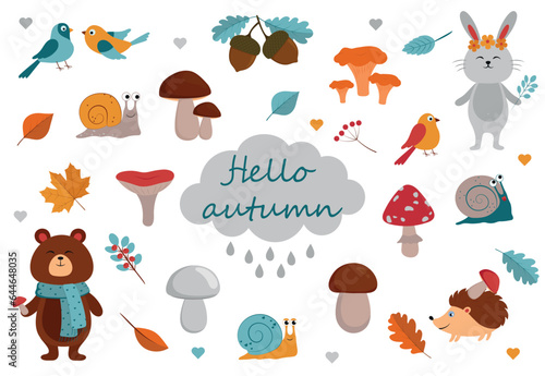 Cute forest animals, mushrooms, birds, leaves, acorns, cloud and berries. Cartoon funny bear, rabbit, hedgehog and snails. Autumn vector set. Fall season kids collection. Fly agaric, chanterelle