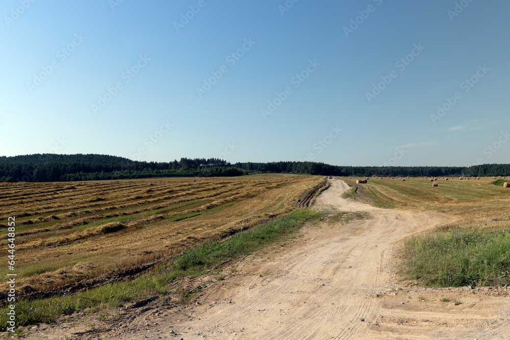 Obraz premium Rural road for cars and transport