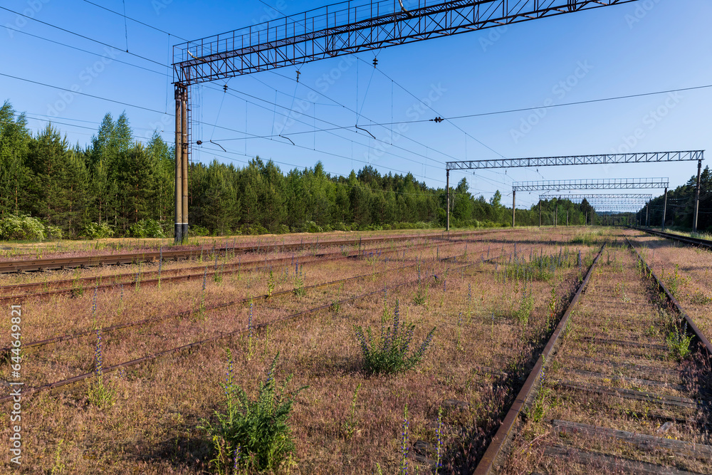 an old railway with metal rails on which trains rarely travel an old railway with metal rails on which trains rarely travel