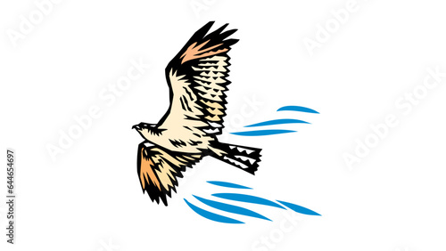 hawk flying soaring vector illustration