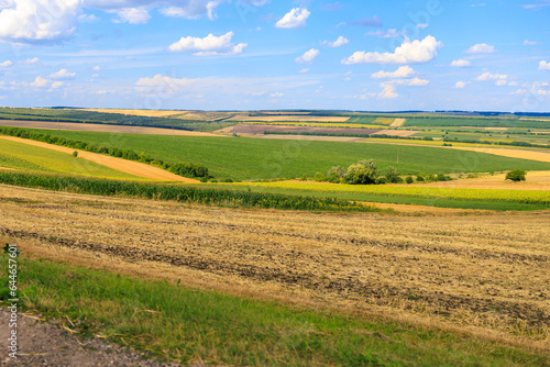 Fertile fields of Europe. Background with selective focus