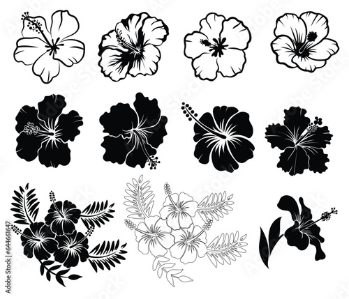 Collection of Hibiscus flower silhouettes, outlined vetor illustration