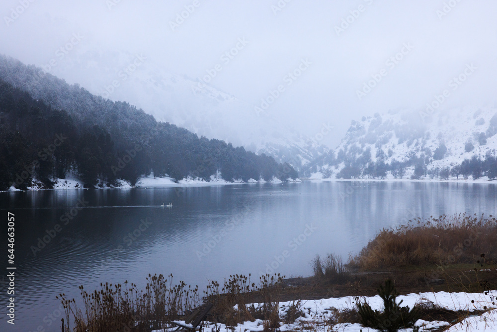 Fototapeta premium snowy river in the mountains