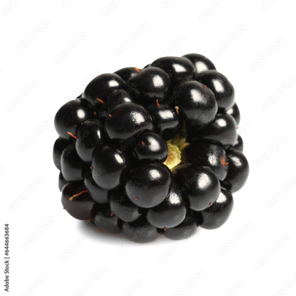 One tasty ripe blackberry isolated on white One tasty ripe blackberry isolated on white