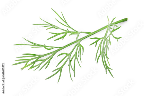 Sprig of fresh dill isolated on white © New Africa