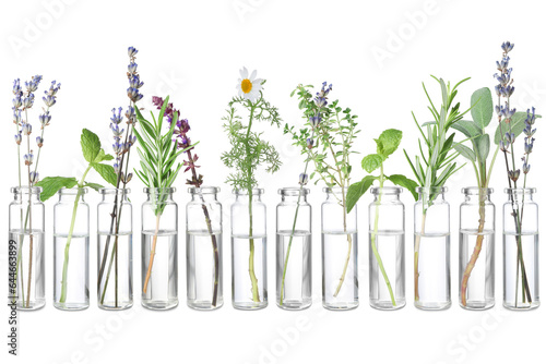 Set of different essential oils with herbs isolated on white © New Africa