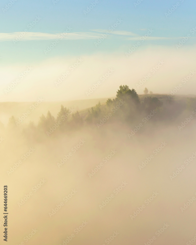 Fototapeta premium misty dawn