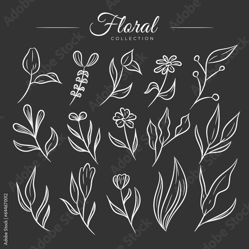 Vector collection of hand drawn floral illustration. Floral design element for greeting card. Botanical floral design collection. Aesthetic floral hand drawn collection