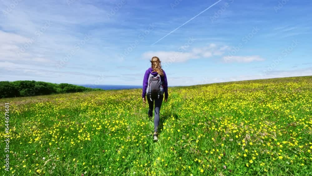 Wide shot following woman through meadow - Ireland Wide shot following woman through meadow - Ireland