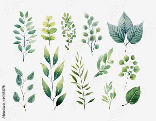 Collection of various green leaves in watercolor. On white color background