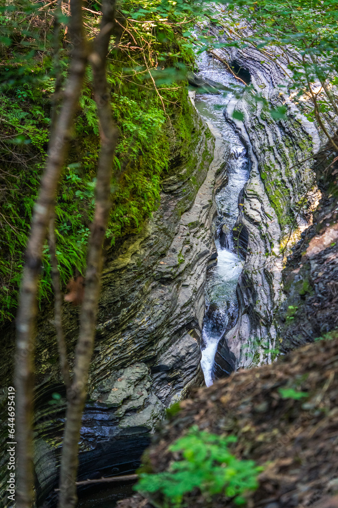 Watkins Glen State Park Landscape View 2023 Watkins Glen State Park Landscape View 2023