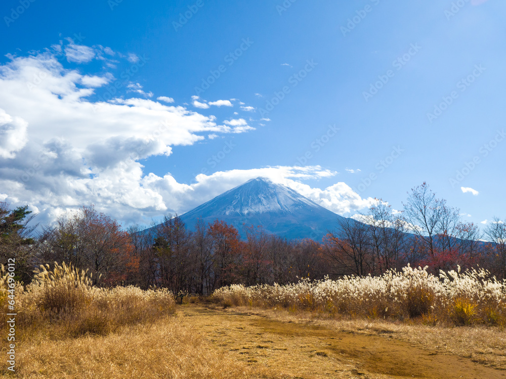 Overlooking at snow-capped Mt Fuji from a mountain in autumn colour (Fujikawaguchiko, Yamanashi, Japan)