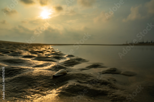 Landscape of a sea beach. Sea Beach of Bakkhali, West Bengal, India. Sunrise from Bakkhali sea beach. Land view after water run off at sea beach.