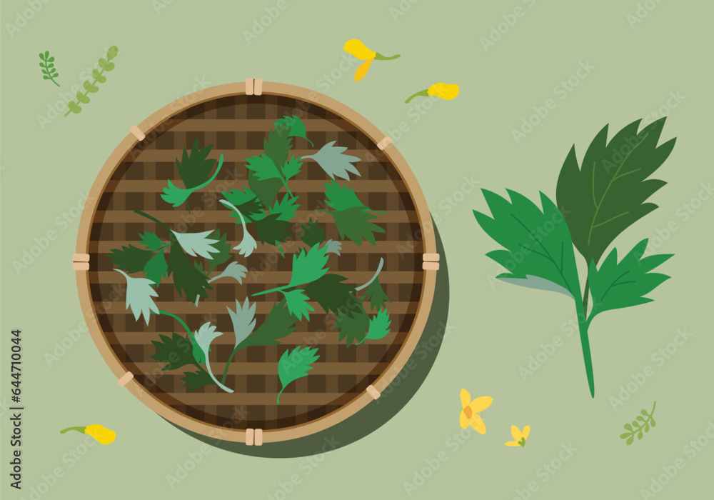 나물 일러스트 Stock Vector | Adobe Stock