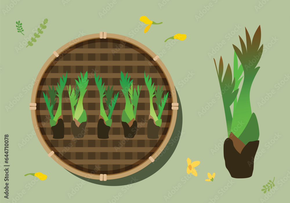 Vetor de 나물 일러스트 do Stock | Adobe Stock