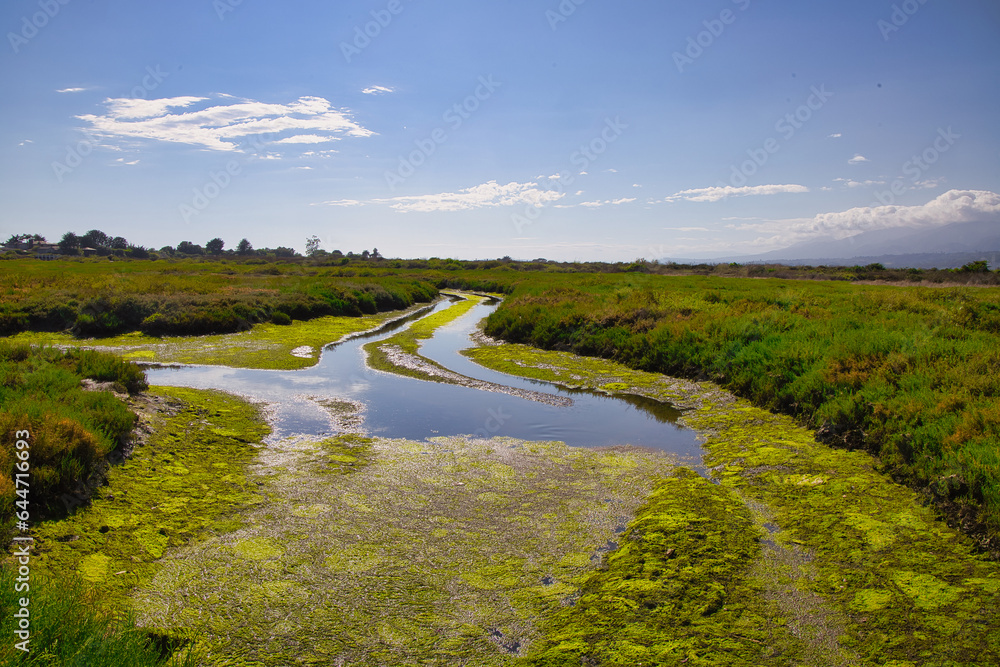 Obraz premium Hiking in the Carpinteria Salt Marsh and Bird Refge in the summer
