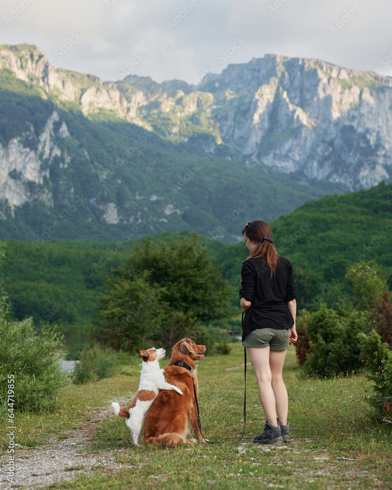 girl and two dogs walk in the mountains of the valley. Traveling with a pet, adventure animal. Hiking in the peaks of Montenegro, Albania