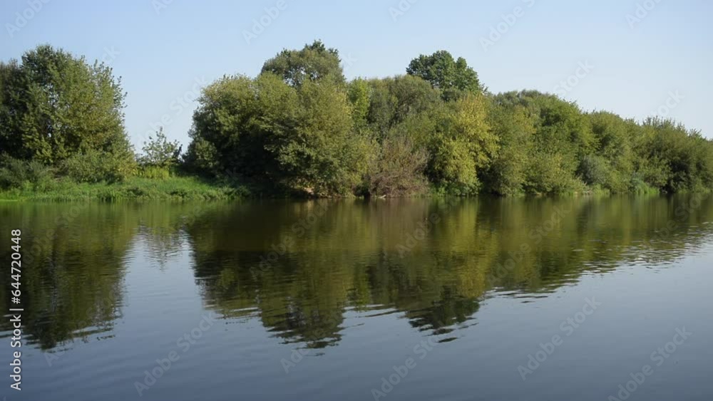 Forest landscape by a calm river, the flow of water Forest landscape by a calm river, the flow of water