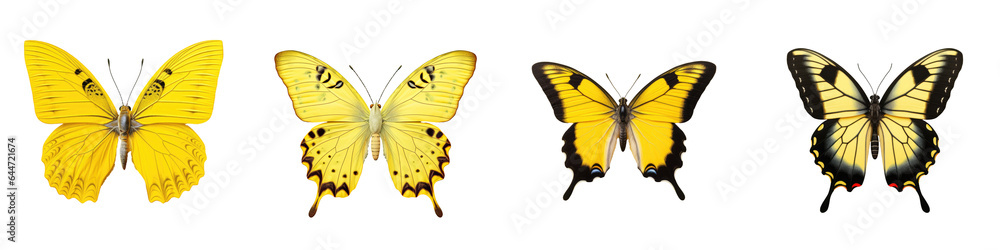 transparent background with yellow butterfly transparent background with yellow butterfly